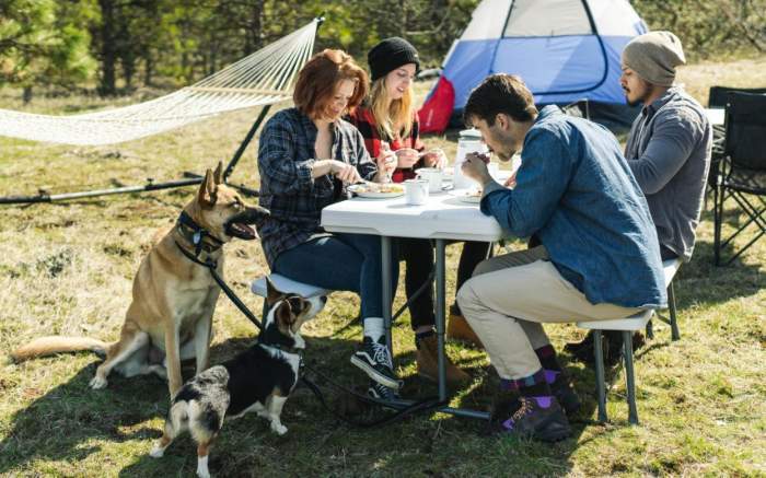 Stansport Heavy Duty Picnic Table and Bench Set.